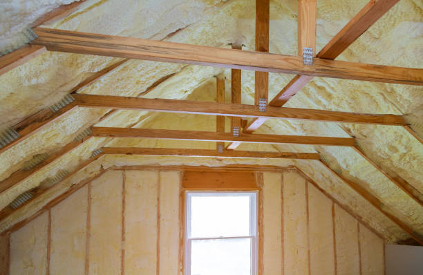 Best Residential Insulation Services  in Lemay, MO