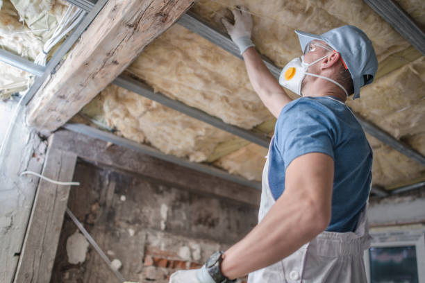 Best Local Insulation Services  in Lemay, MO