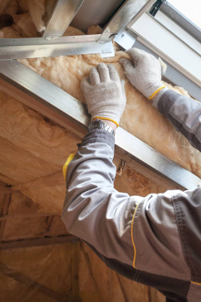 Best Local Insulation Services  in Lemay, MO