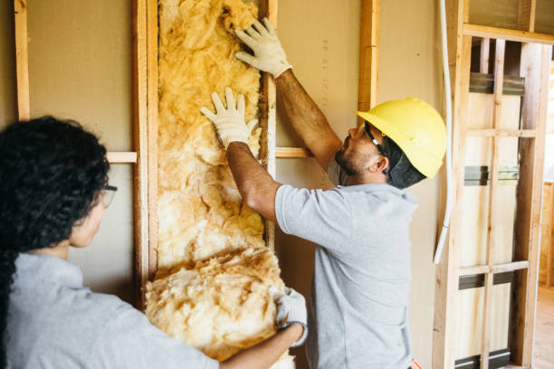 Best Fiberglass Insulation  in Lemay, MO