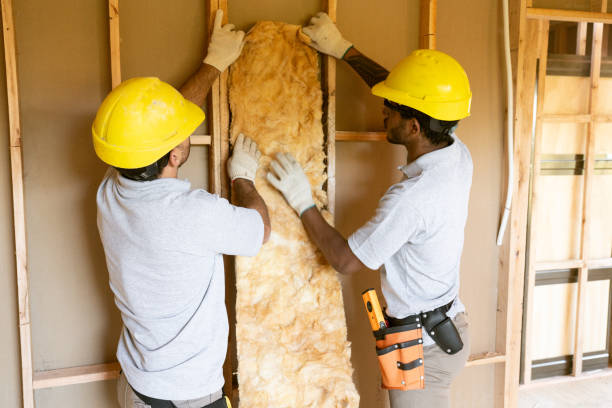 Best Commercial Insulation Contractor  in Lemay, MO