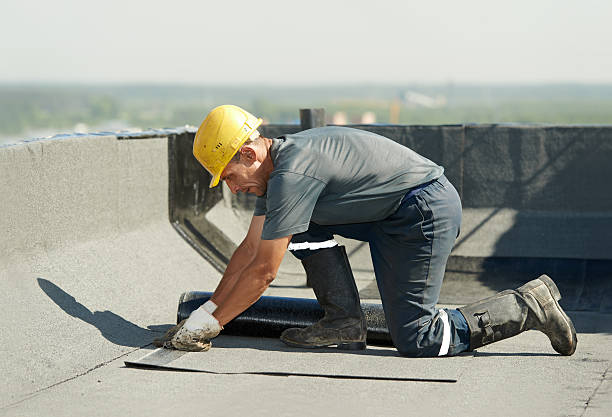 Best Insulation Replacement Services  in Lemay, MO